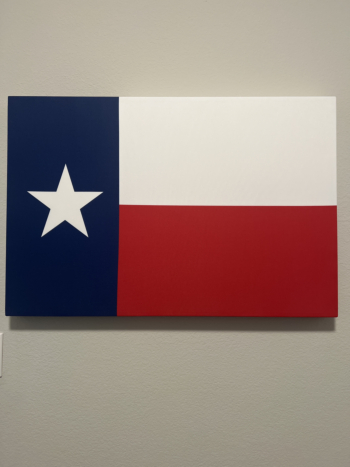 Customer Photos - Anonymous - AcousticART : Texas Flag