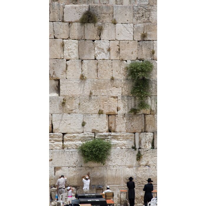 The Jerusalem Wailing Wall - ID # 1132118