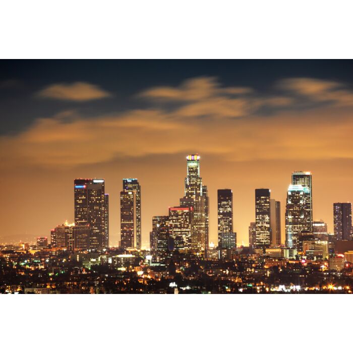 Downtown Los Angeles Skyline - ID # 14630826