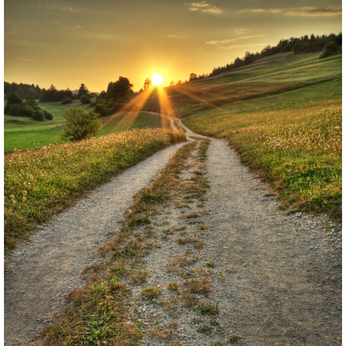 Idyllic Sunset On Dusty Road In Countryside - ID # 17006749