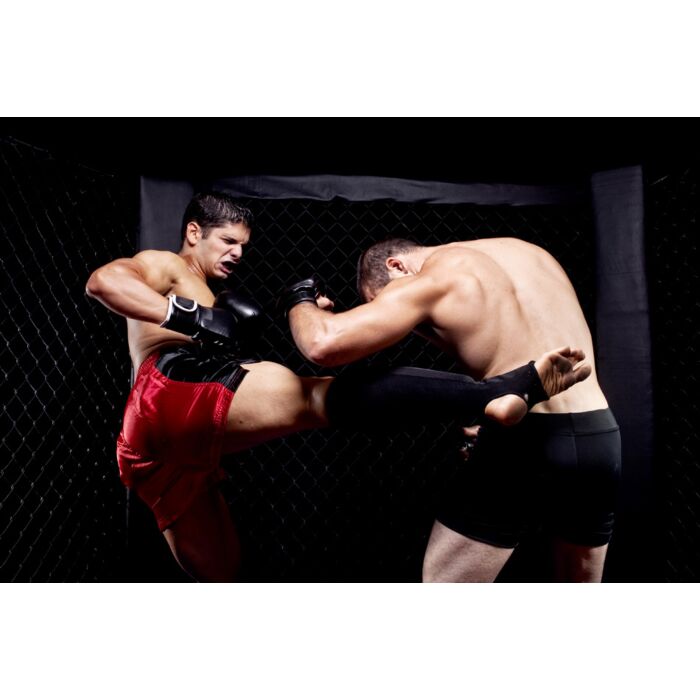 Mixed Martial Artists Fighting - Kicking - ID # 26381113