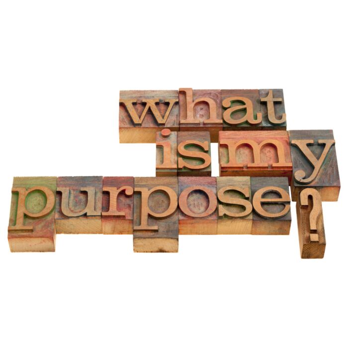 What Is My Purpose - ID # 26997638