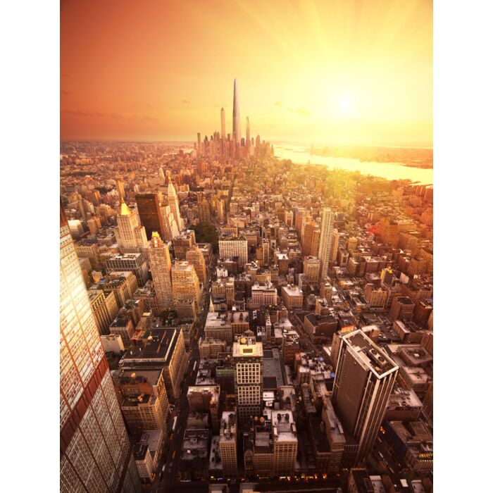 Future New York - ID # 8253840