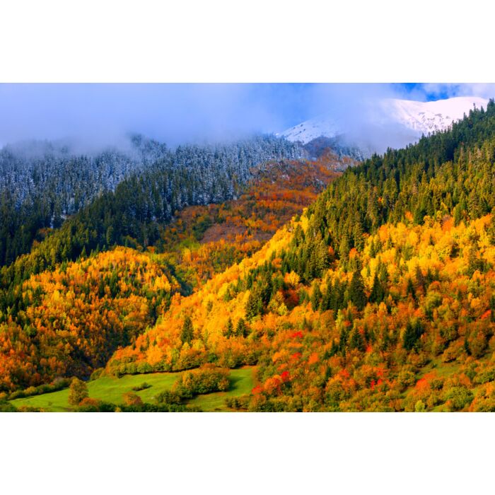 Mountain Landscapes 4 - ID # 161711519 Mountain Landscapes 4 - ID # 161711519