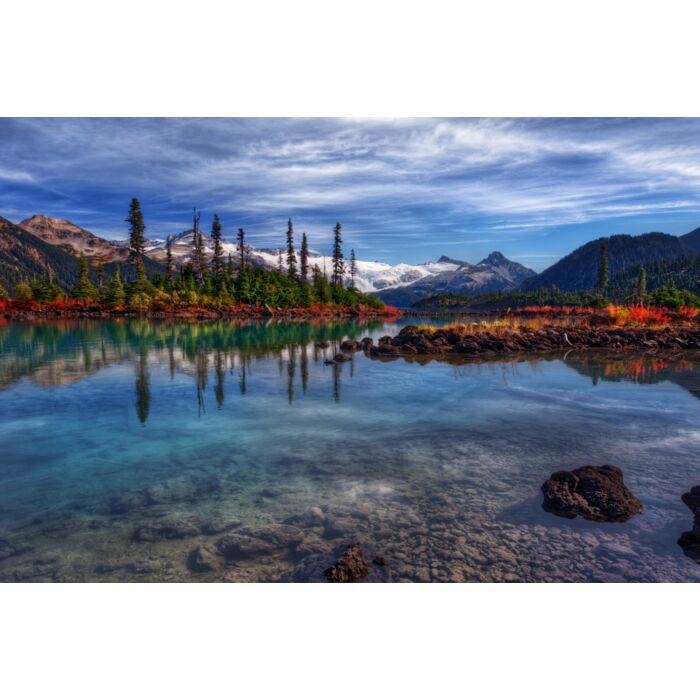 Majestic evergreen trees towering over crisp clear lake - ID # 240688744 Majestic evergreen trees towering over crisp clear lake - ID # 240688744