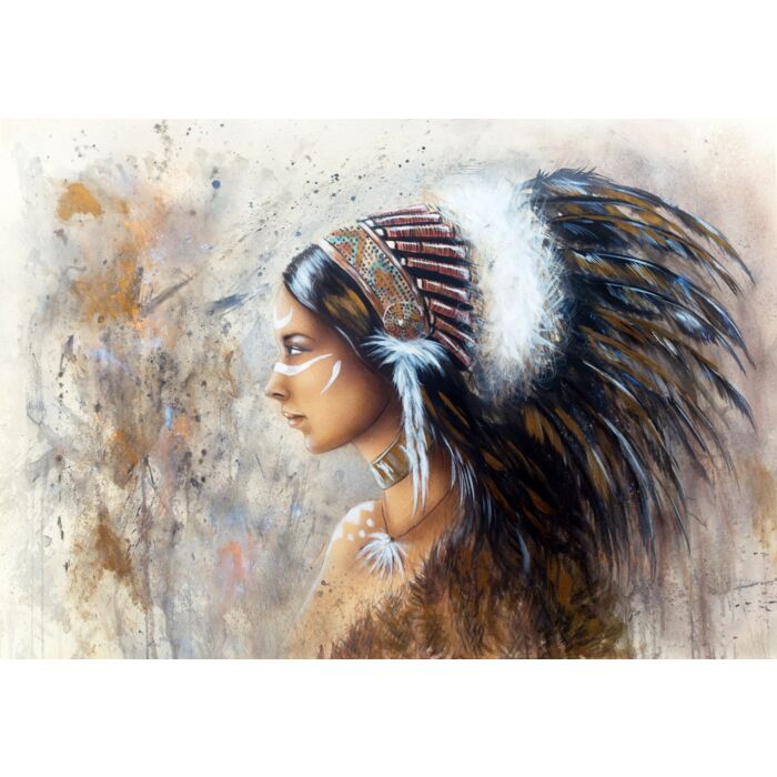 indian woman wearing a big feather headdress - ID # 247197979