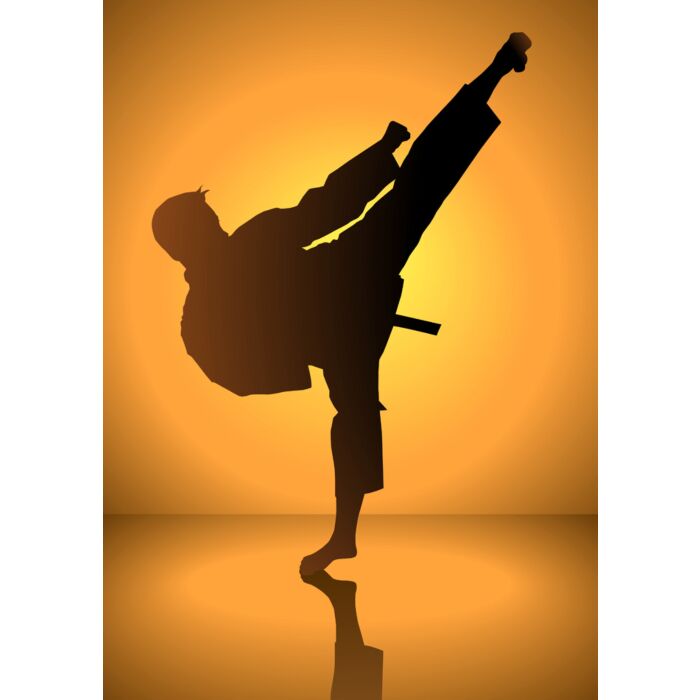 Silhouette Of A Karateka Doing Standing Side K - ID # 26584781 Silhouette Of A Karateka Doing Standing Side K - ID # 26584781