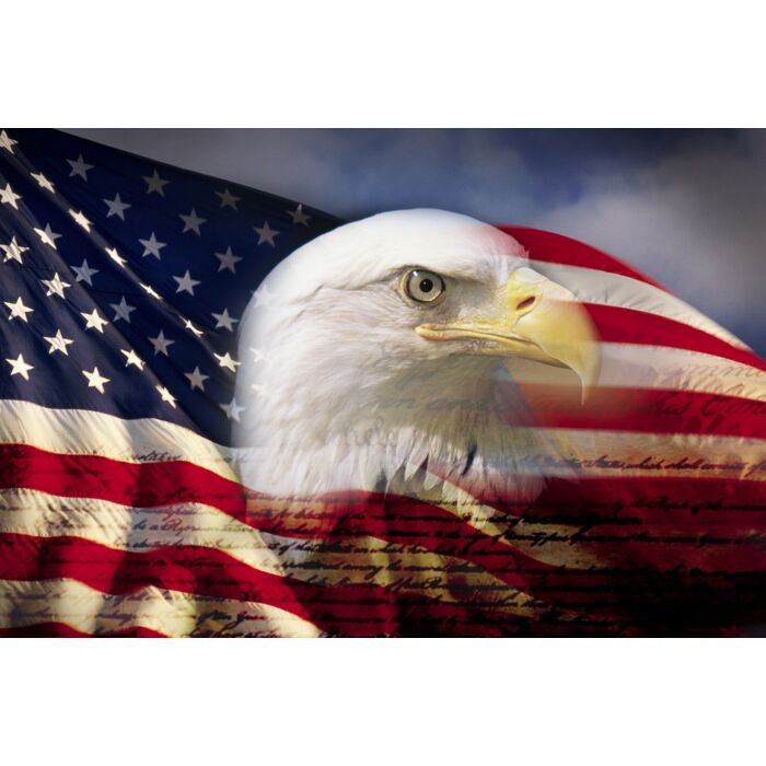 Digital composite: American bald eagle and flag - ID # 97488059