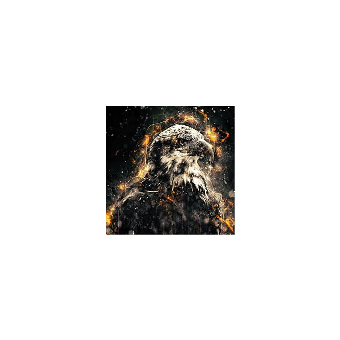 American Bald Eagle illustration with fire - ID # 248117473