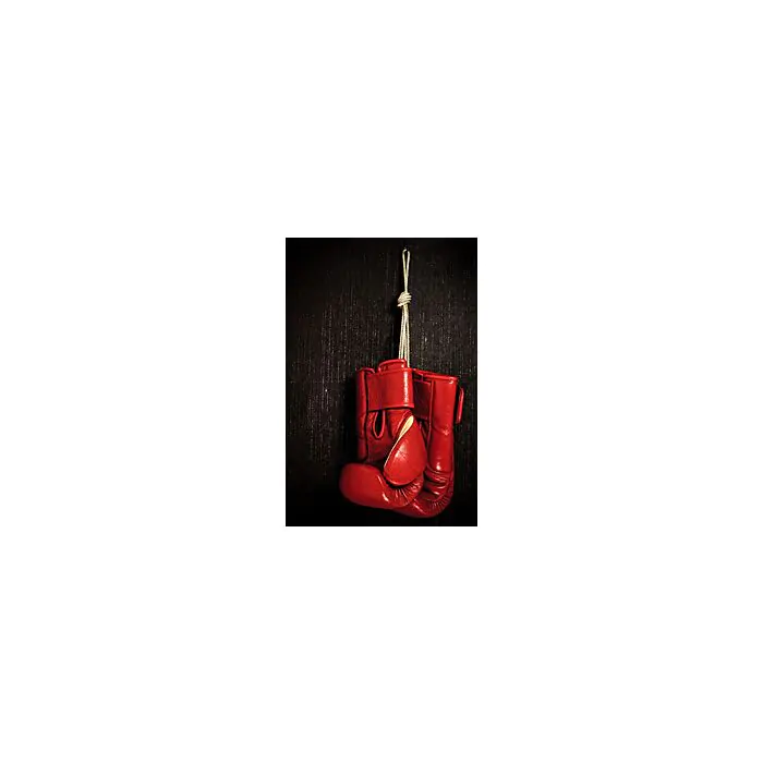 Boxing - Glove Hanging On Grunge Background - ID # 14322372