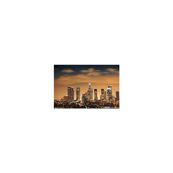 Downtown Los Angeles Skyline - ID # 14630826
