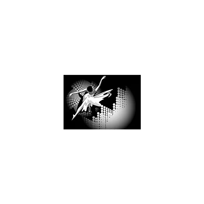 Graceful Ballet Dancer Pirouette - ID # 14741128