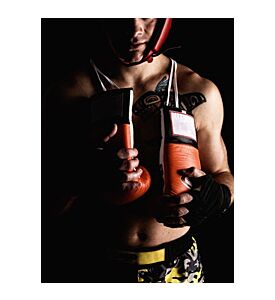 Boxer Fighter - ID # 17215429