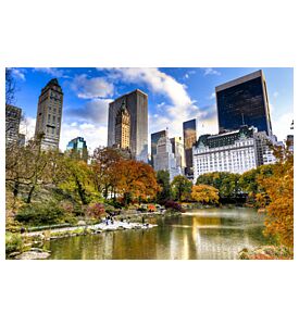 Modern Downtown City Park - ID # 18400168