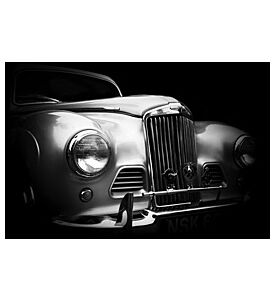 Talbot Sunbeam High Contrast - ID # 42191436