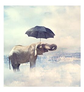 Elephant Enjoying Rain Avobe The City On The Clouds - ID # 52707286