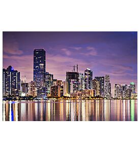 Miami Skyline - ID # 60135959