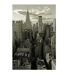 Finance Capital - ID # 964540