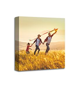 Acoustic art Panels with your own Custom Graphics and images- Size: 1'x1'