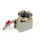 Two Pug Puppies In A Gift Box  - ID # 11429469 thumbnail