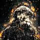 American Bald Eagle illustration with fire - ID # 248117473 thumbnail