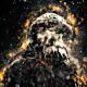 American Bald Eagle illustration with fire - ID # 248117473 thumbnail