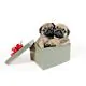 Two Pug Puppies In A Gift Box  - ID # 11429469 thumbnail