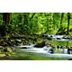 Mountain Stream - ID # 15363026 thumbnail