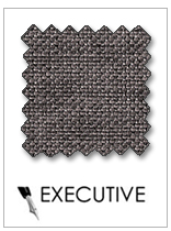 executive