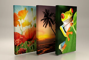 AcousticART Panels